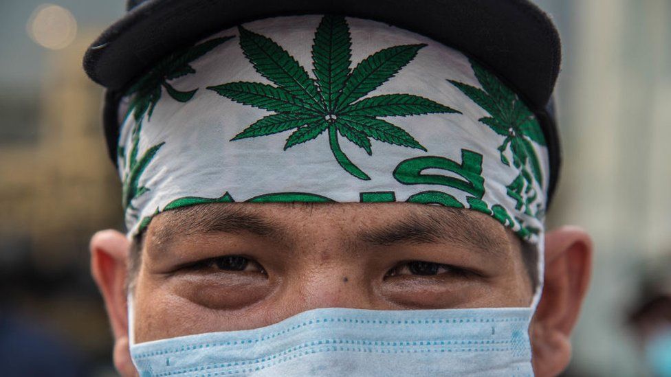 A Thai man showing his support for the marijuana decriminalization in Thailand
